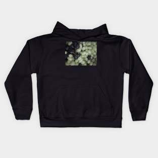 Summer's grapes Kids Hoodie